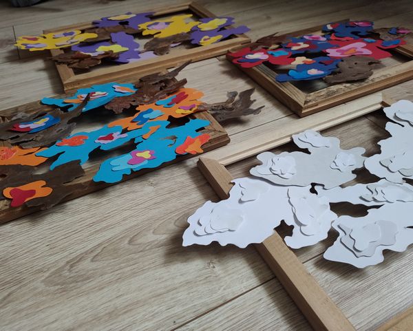 Aneta Fausek-Kaczanowska, plamy